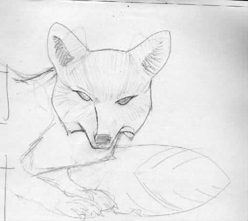 Stylized Fox